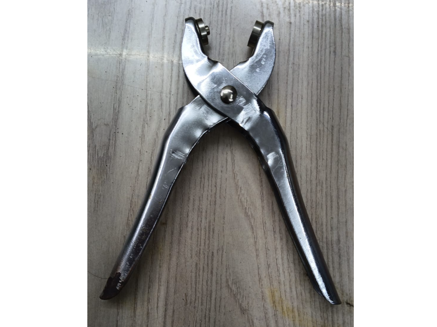 #19 Matriz Para Hojalillos 5x10