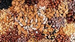 Frutos secos, Cereales y Semillas