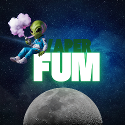 Logo Vaperfum