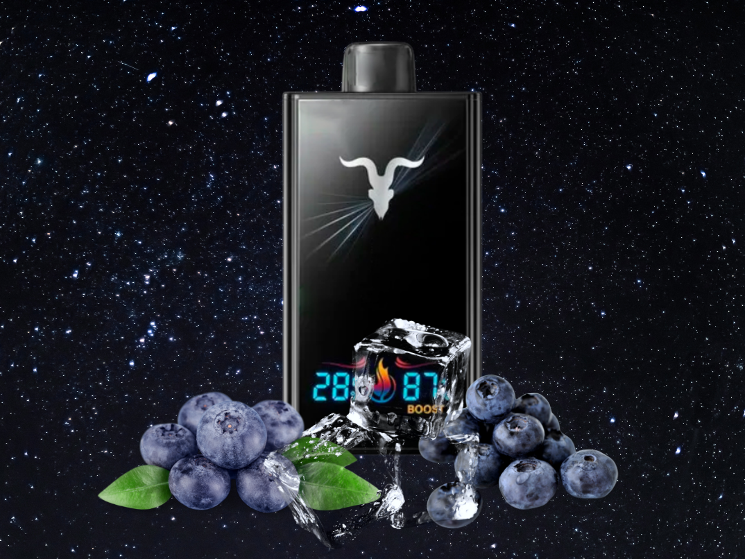BLUEBERRY ICE