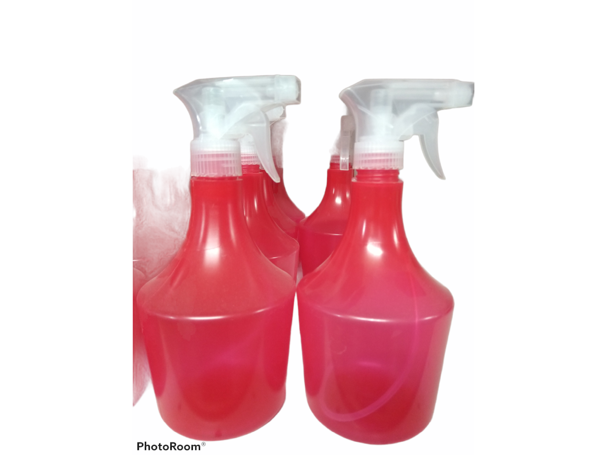 1278-Pulverizador 500 cc