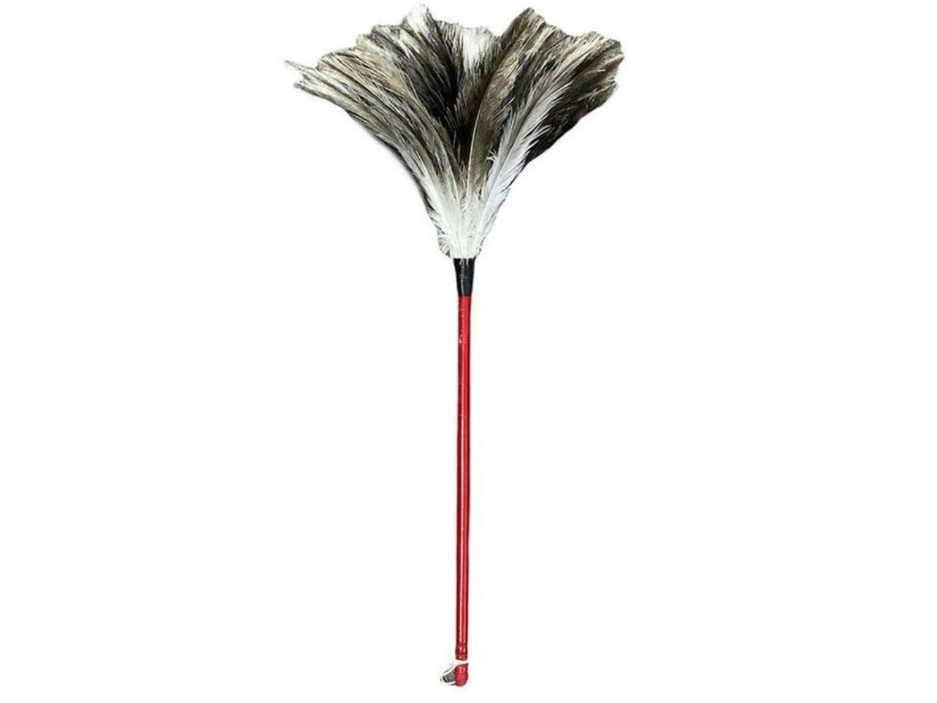 5033- Plumero pluma grande (N°4)