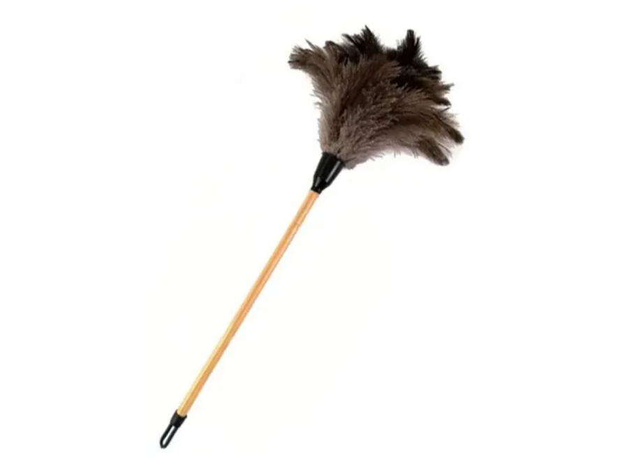 5042- Plumero pluma mini (N°1)