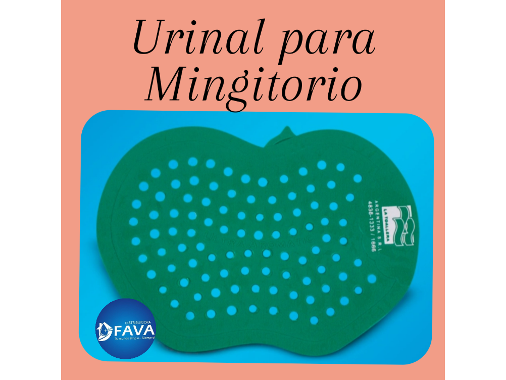 Urinal para mingitorio