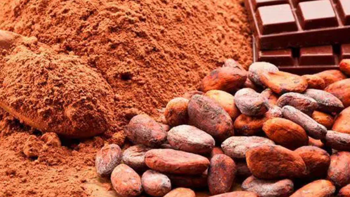 chocolate y derivados