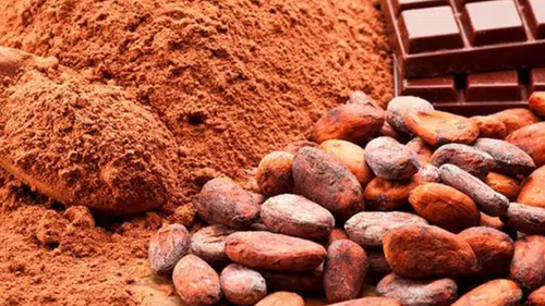 CHOCOLATE Y DERIVADOS