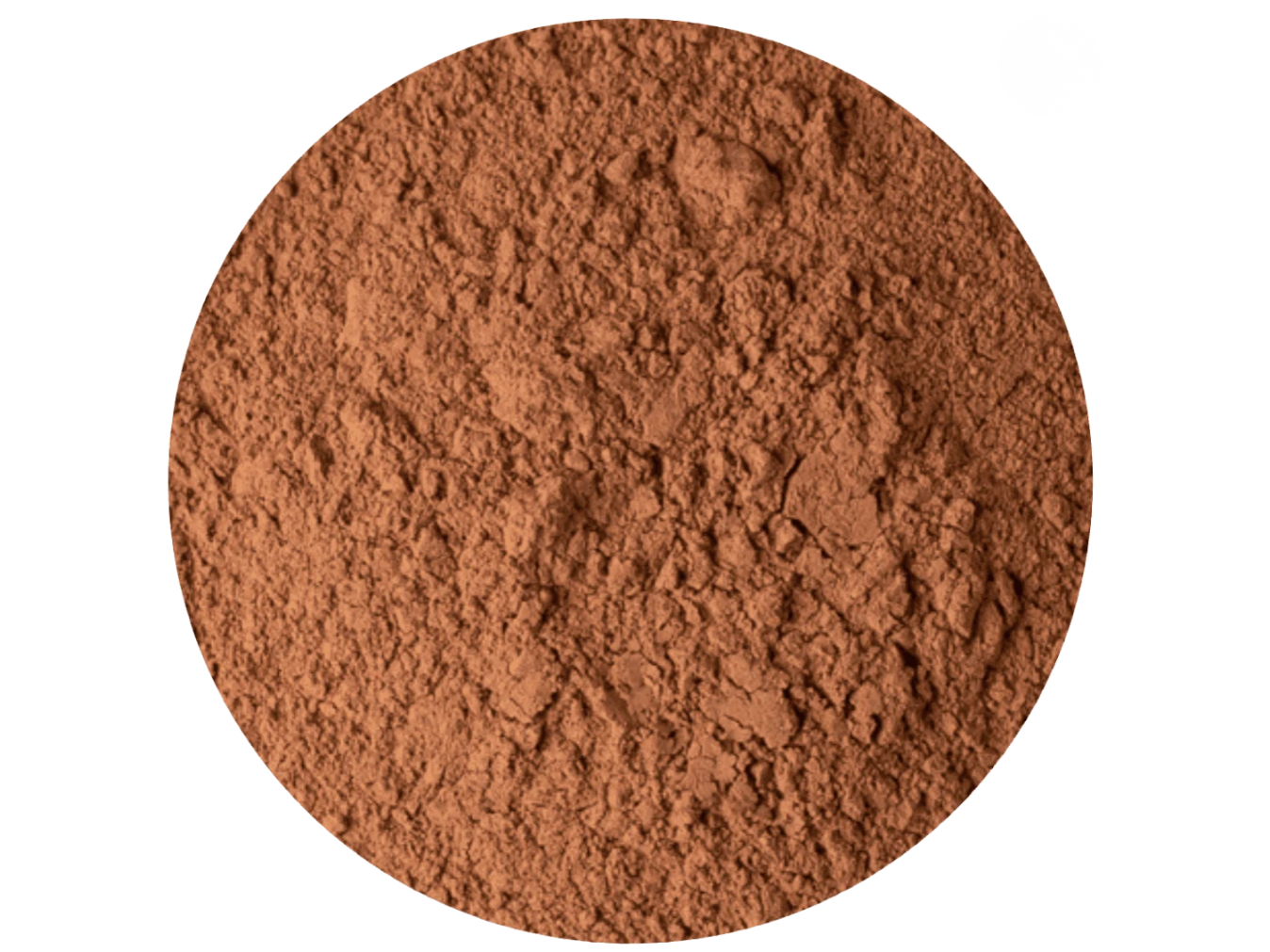 CACAO ALCALINO