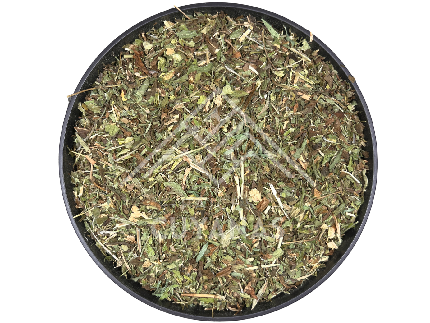 MENTA