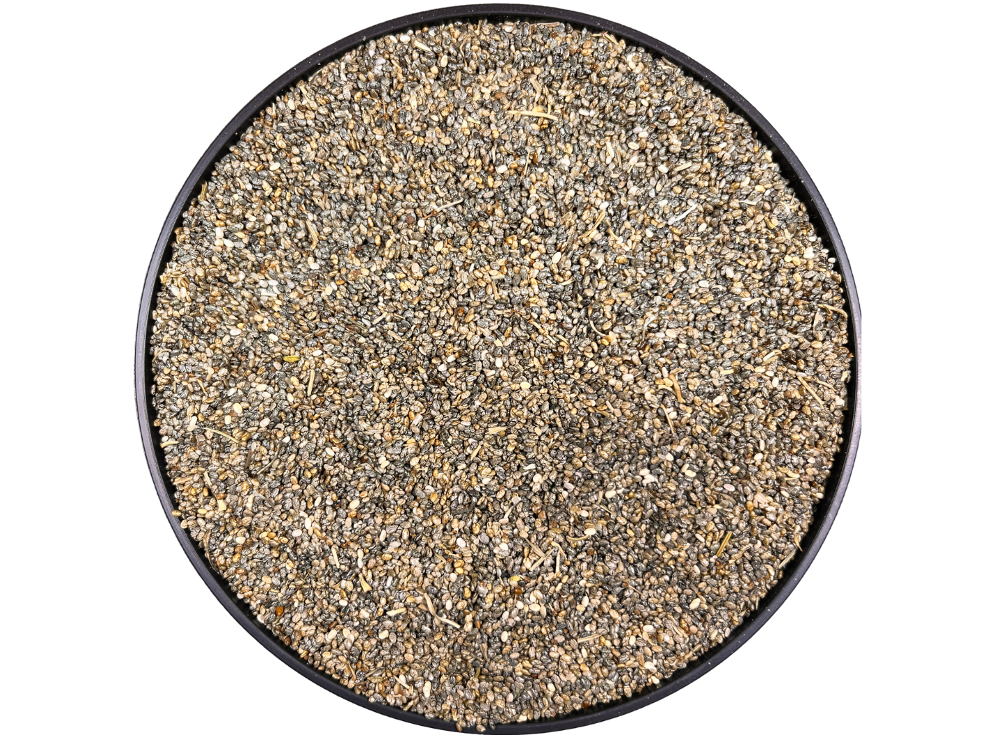 CHIA (BB)