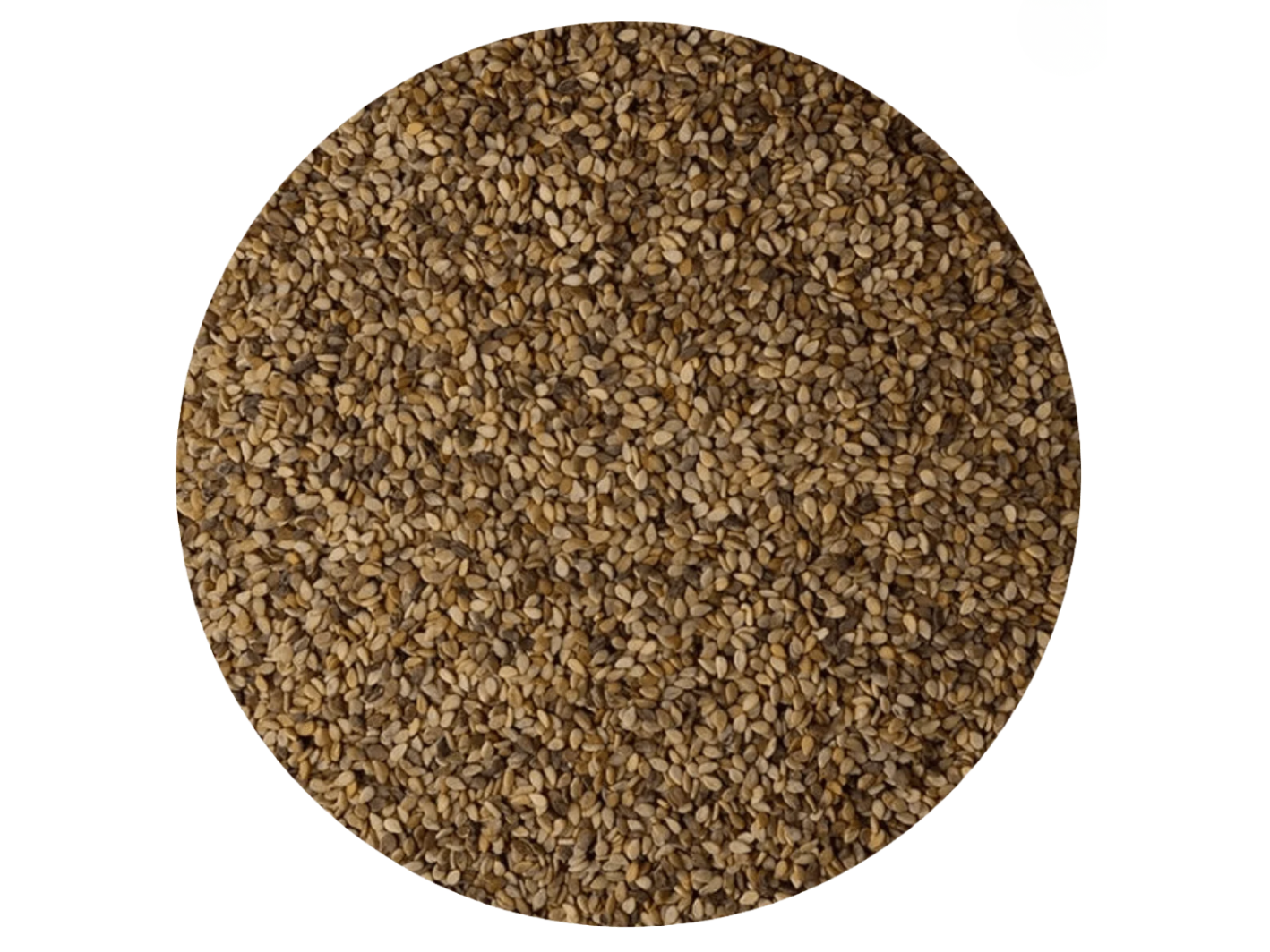 sesamo integlal (BB)
