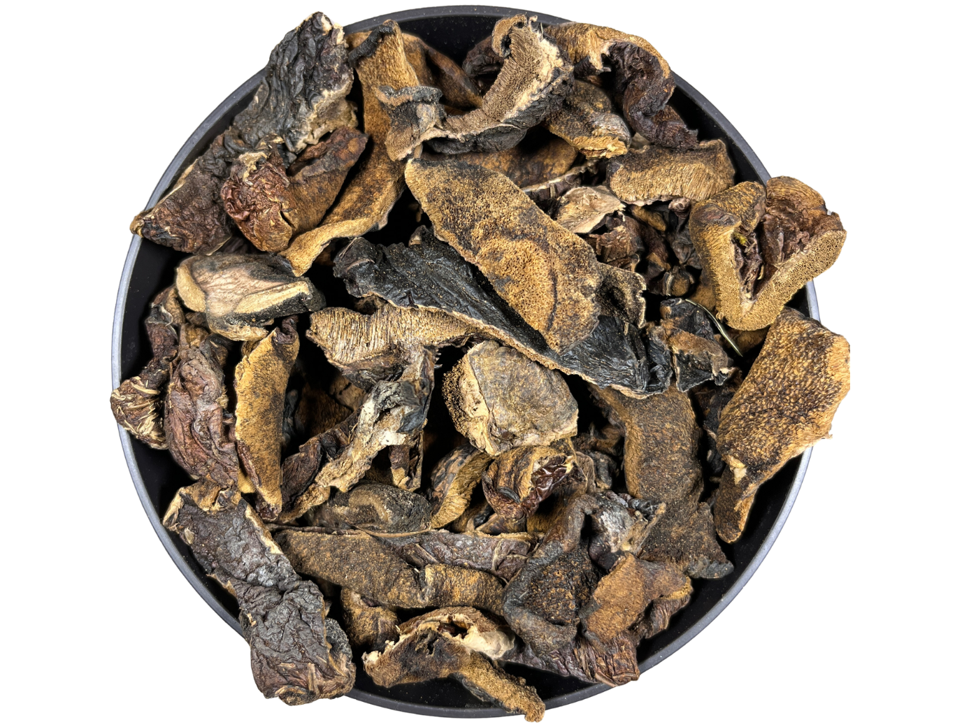 hongos de pino