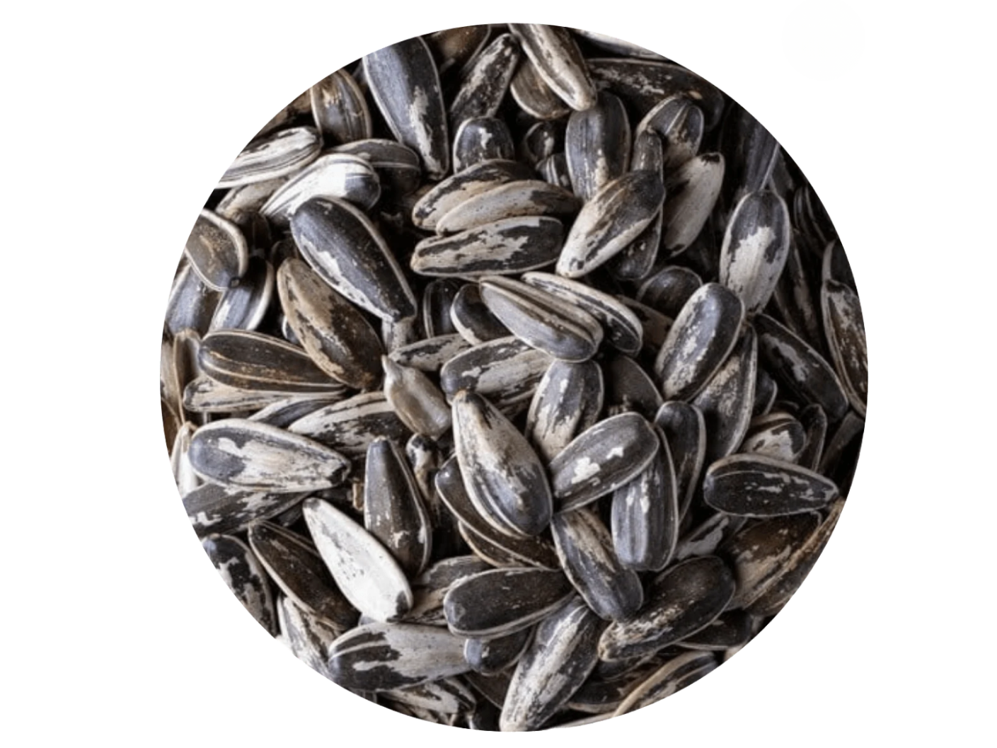 semillas girasol c/cascara 1 KG