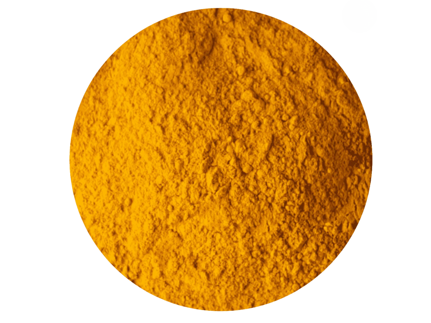 curcuma molida comun (india 🇮🇳)