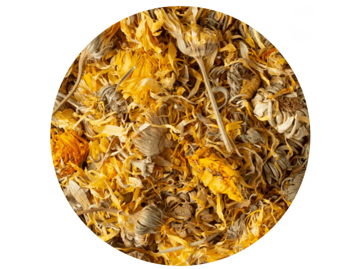 HIERBA CALENDULA (egipto 🇪🇬)