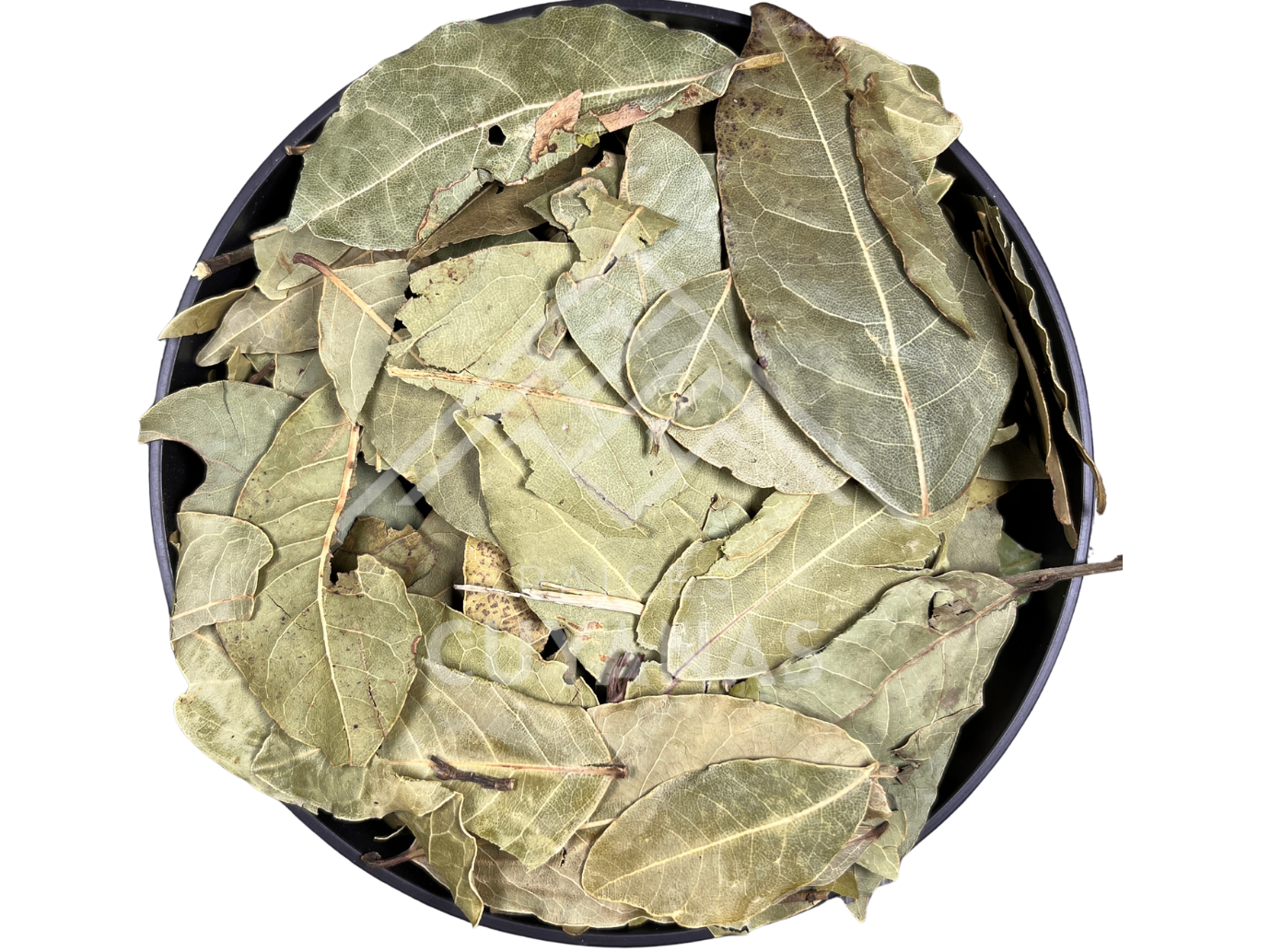 LAUREL