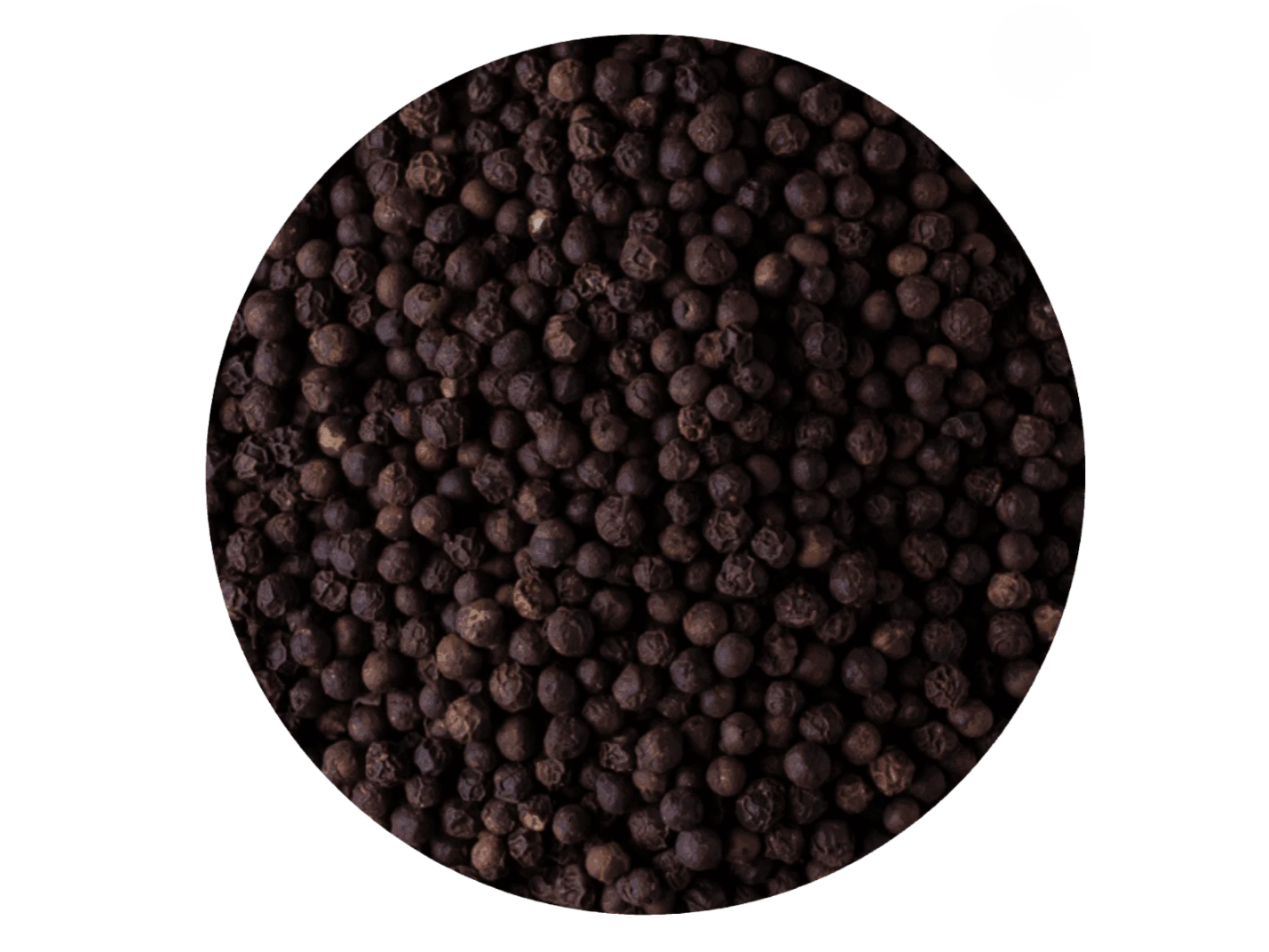 pimienta negra grano (brasil 🇧🇷)
