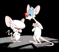 Logo Pinky y cerebro