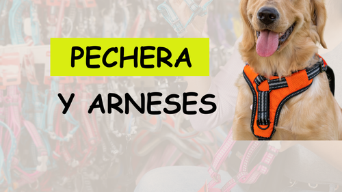 PECHERAS Y ARNESES