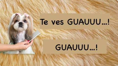 CARDAS, TIJERAS Y CORTAUÑAS