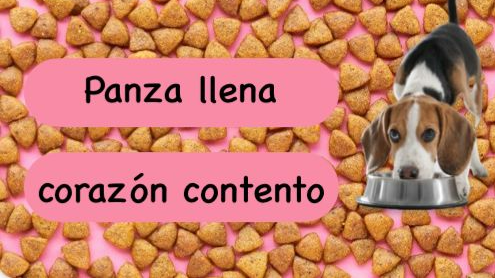 PLATOS