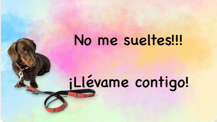 COLLARES Y CORREAS