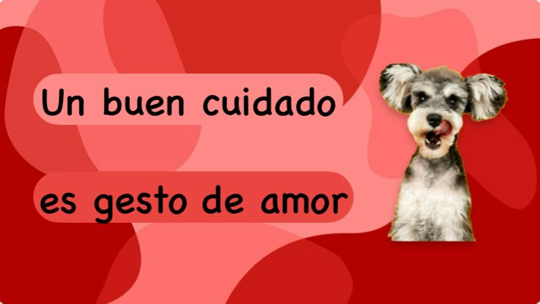 HIGIENE PARA PERROS