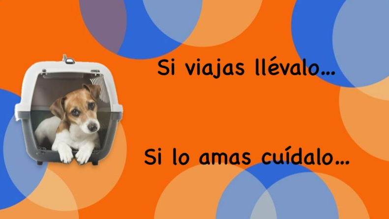 JAULAS Y TRANSPORTADORAS