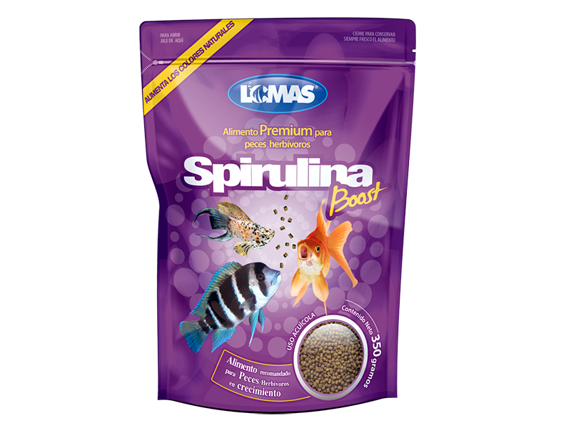 FL2121 ALIMENTO SPIRULINA BOOST 350 G