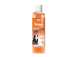 FL3966 SHAMPOO DESINFECTANTE ESSENTIALS 250 ML
