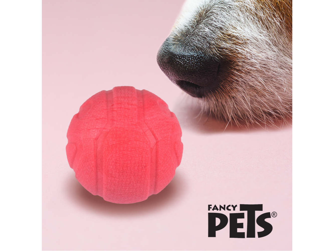 FL9443 JUGUETE PELOTA C/AROMA FRESA SNIFF