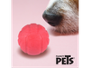 FL9443 JUGUETE PELOTA C/AROMA FRESA SNIFF