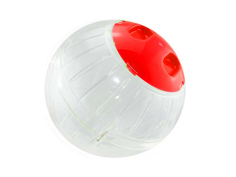 SP-3672 EXERCISE BALL CHICA