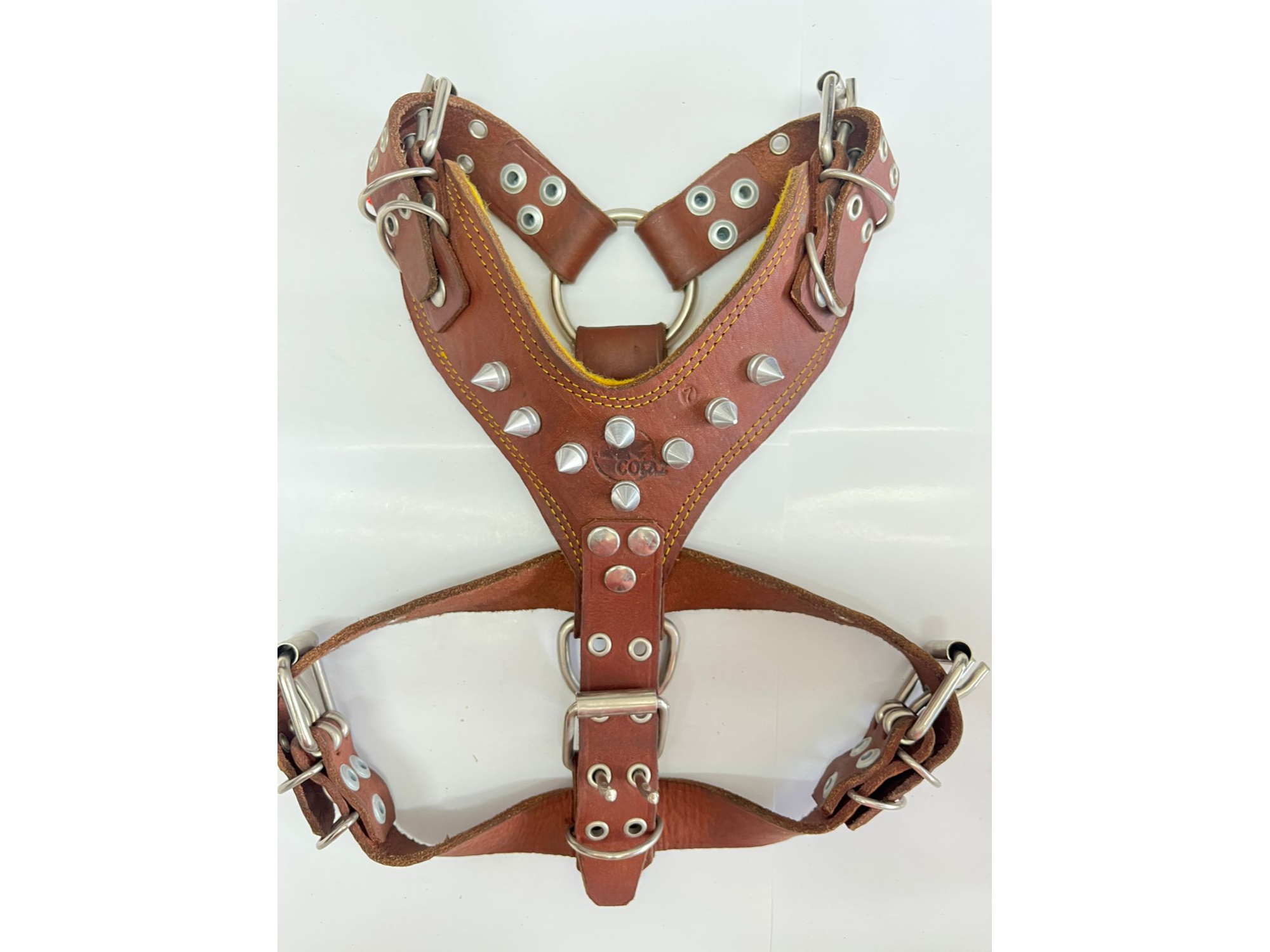 PECHERA DE PIEL LUBRICADA CON PICOS