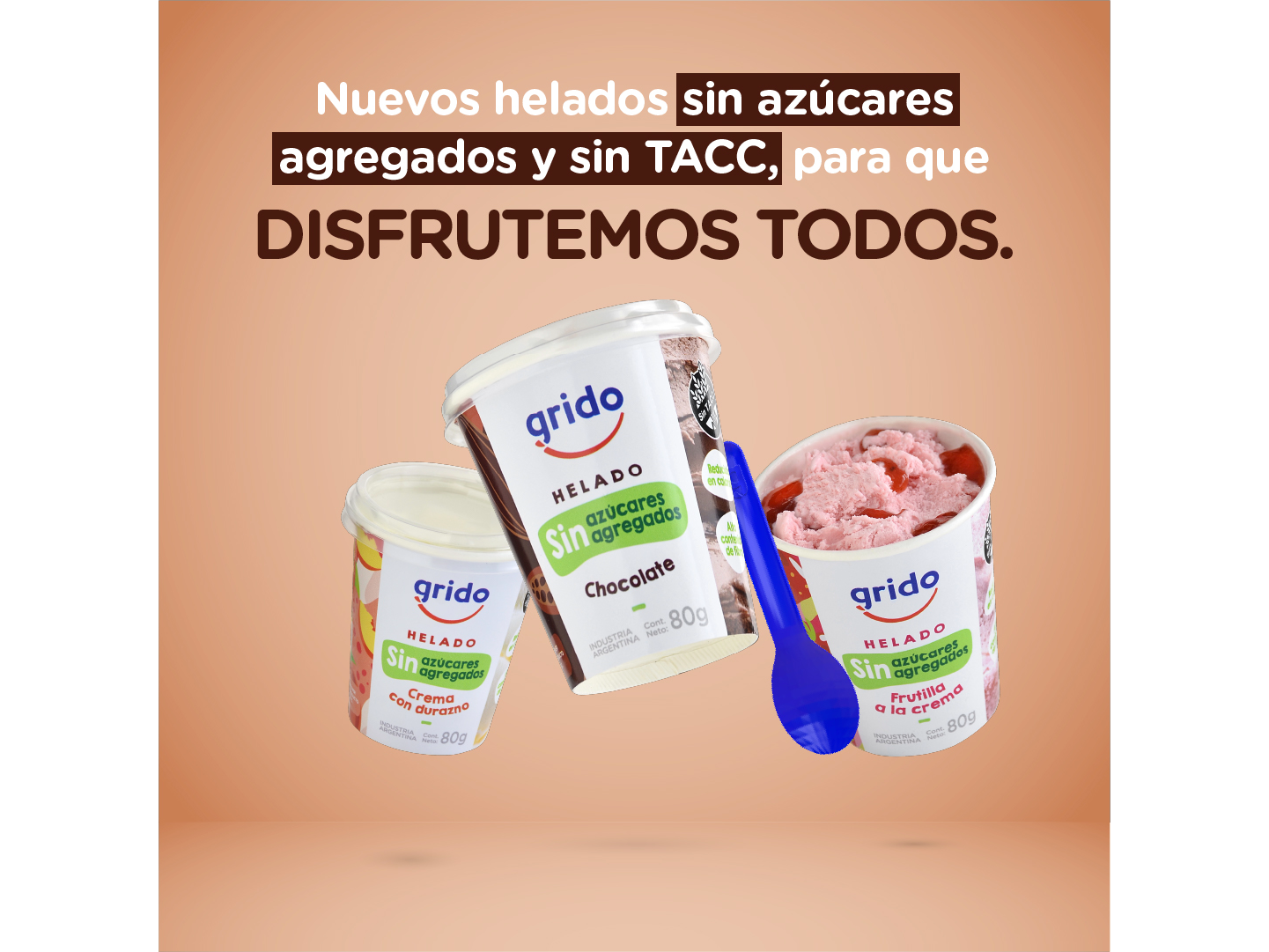 Helado Sin Azucar Agregada