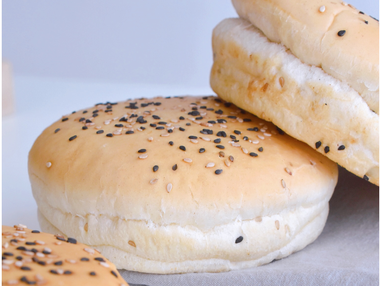 Hamburguesa CLASICA MOLDE
