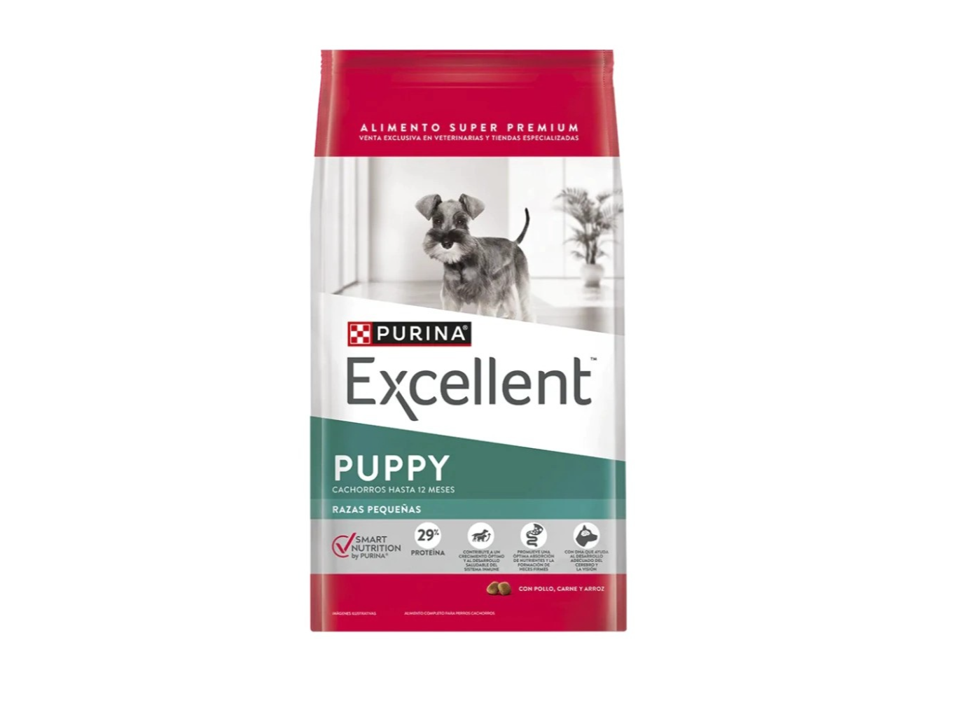 EXCELLENT PUPPY RAZAS PEQUEÑAS