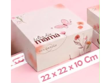 BOX 22 MAMÁ ENTERA S/VISOR