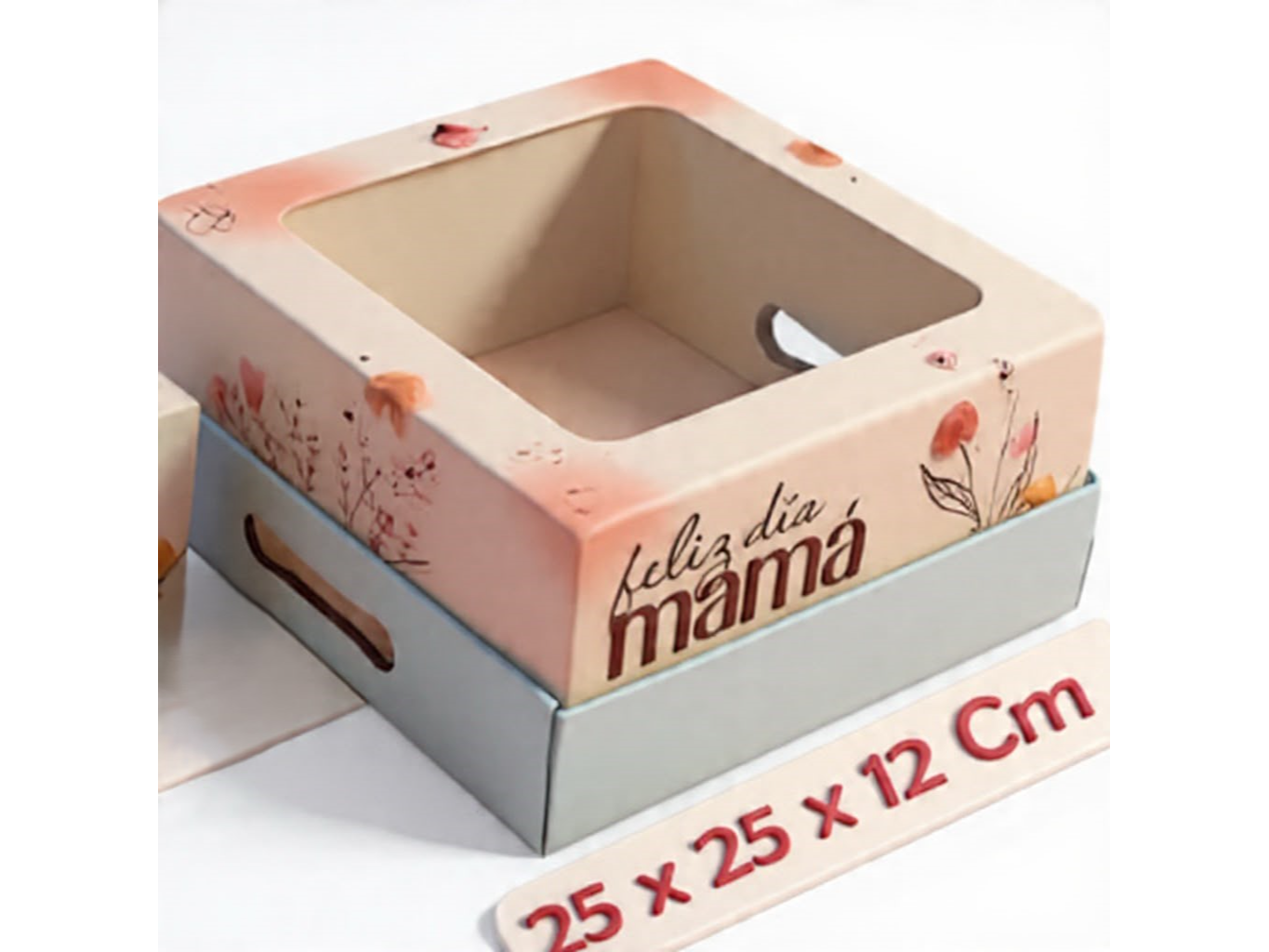 BOX 25 MAMÁ TAPA Y BASE C/ VISOR