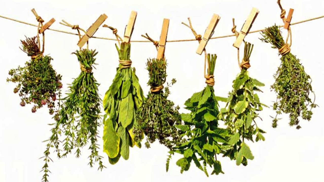 Hierbas/tés/infusiones