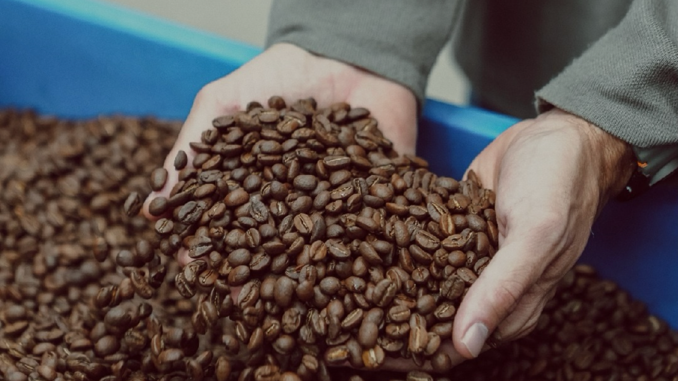 Café en granos/maltas/capuccinos