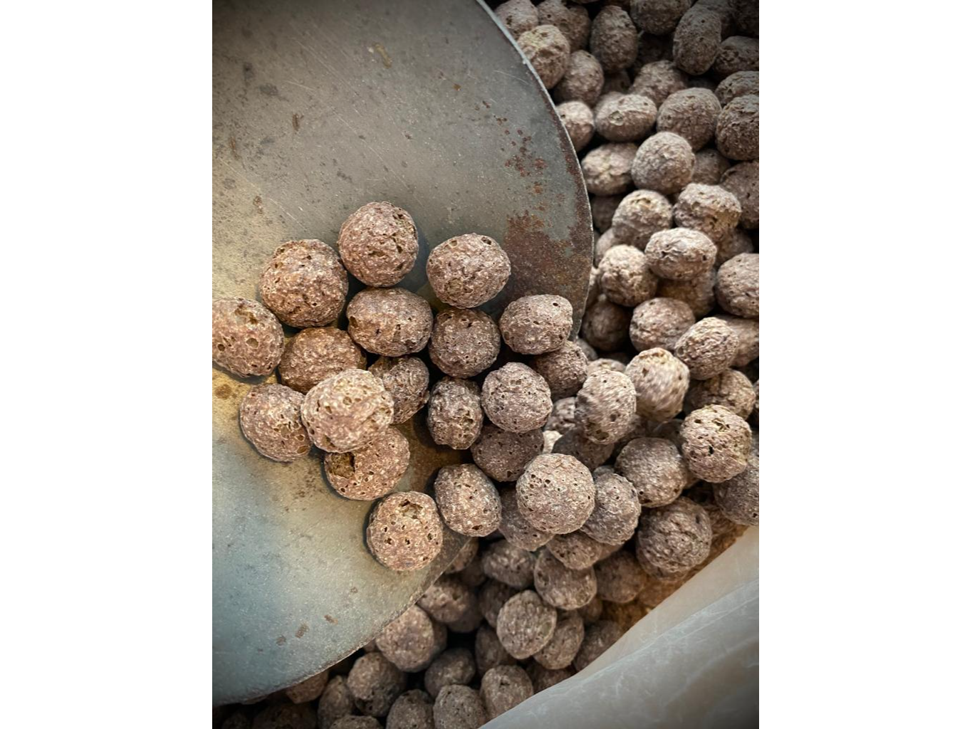 Bolitas de chocolate
