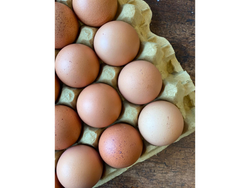 Huevos comunes