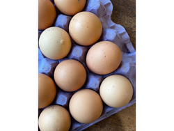 Huevos caseros