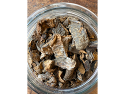 Hongos de pino