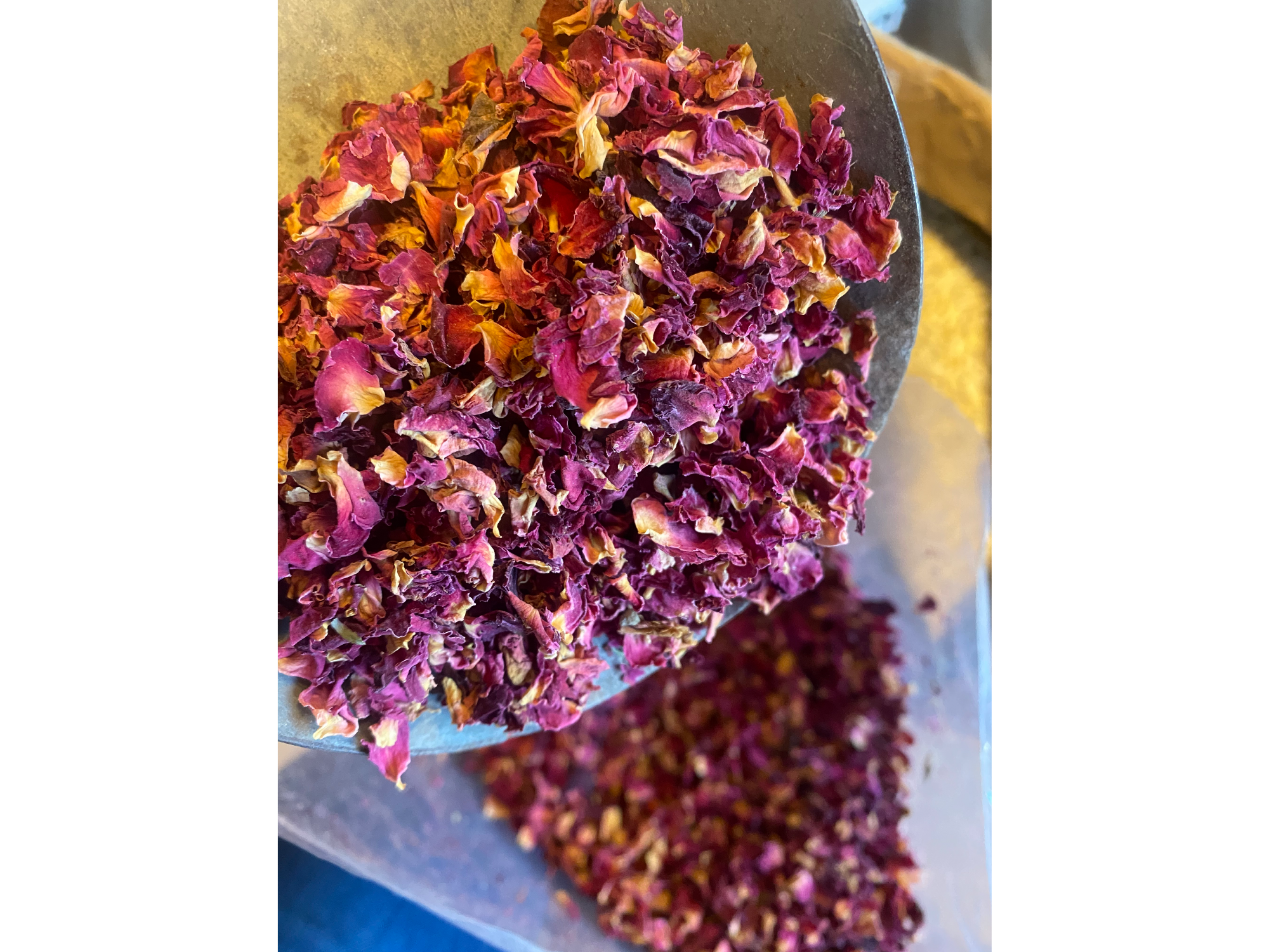 Pétalos de rosa roja