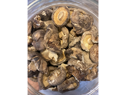Hongos shitake