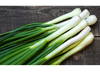 Cebolla de verdeo