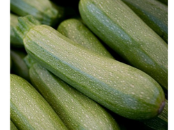 Zucchini