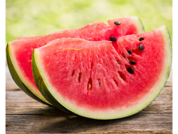 Sandia brasilera