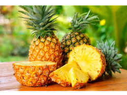 Piña ecuador